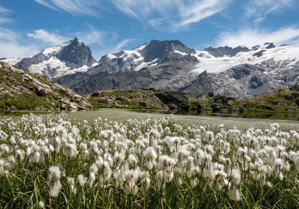 Plateau d'Emparis