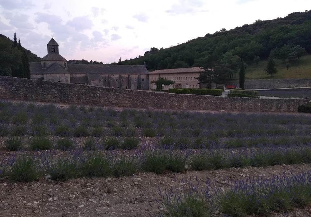 abbaye de sénanque