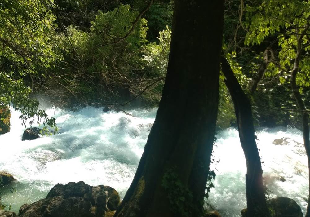 Fontaine de Vaucluse