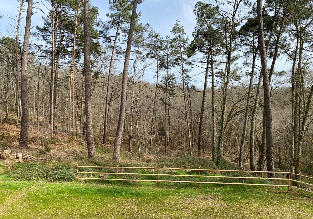 vue jardin