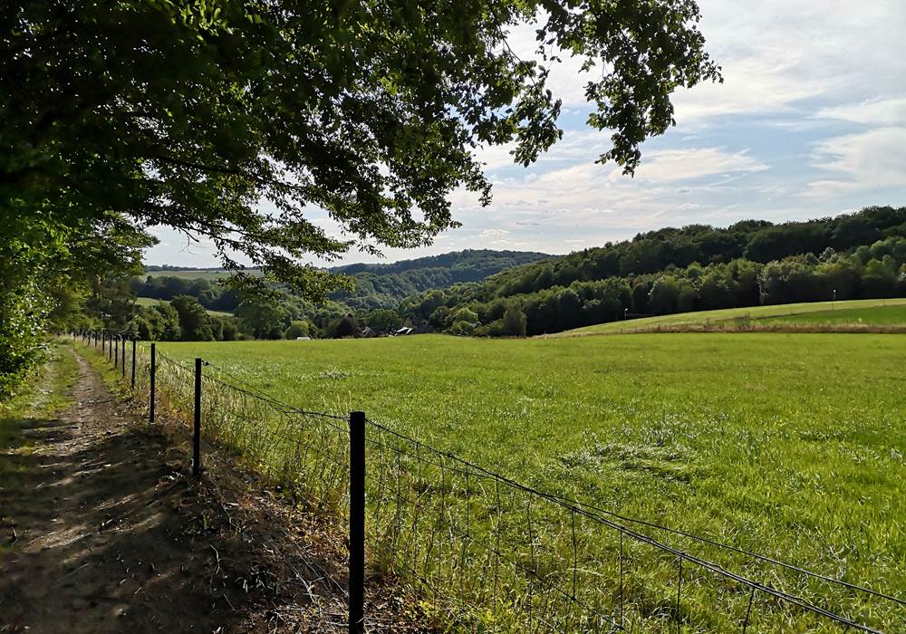 La Grange de Bonneville -  campagne bonnevilloise