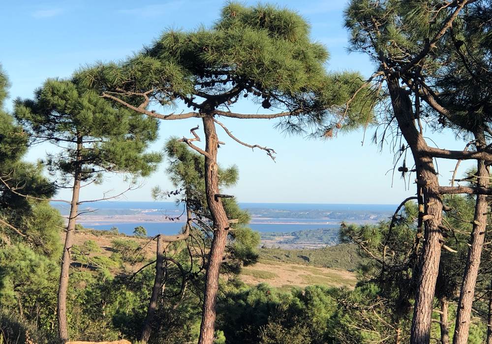massif de Fontfroide