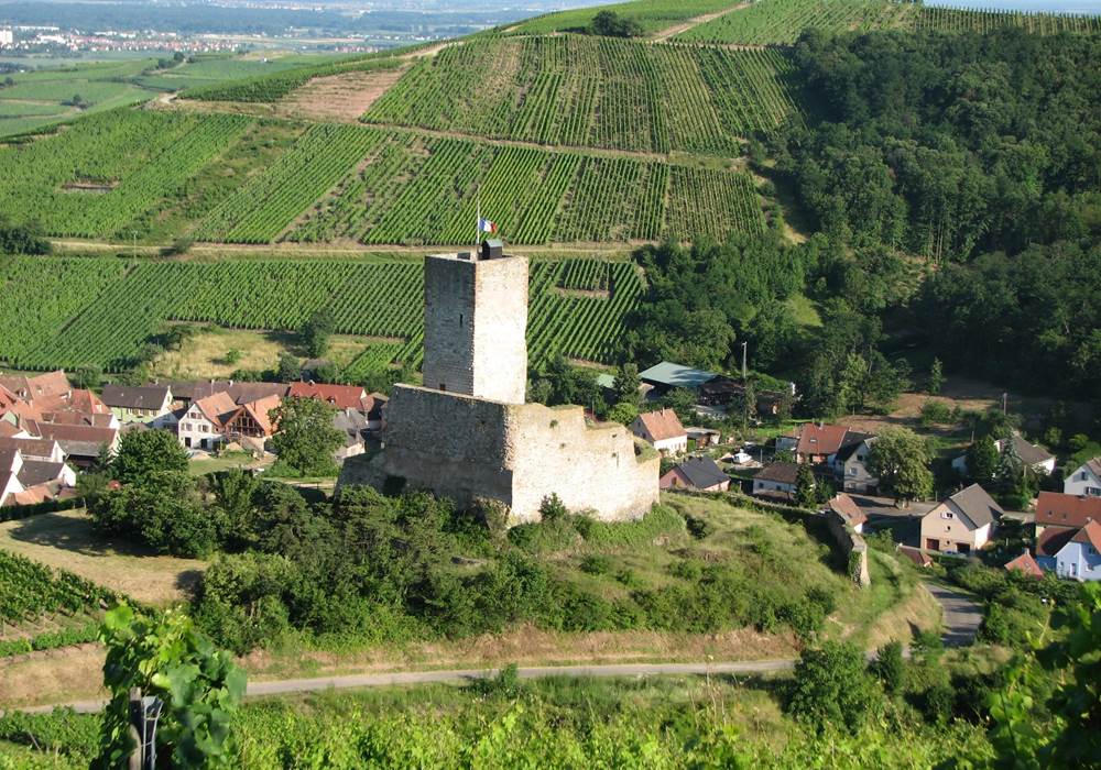 Katzental