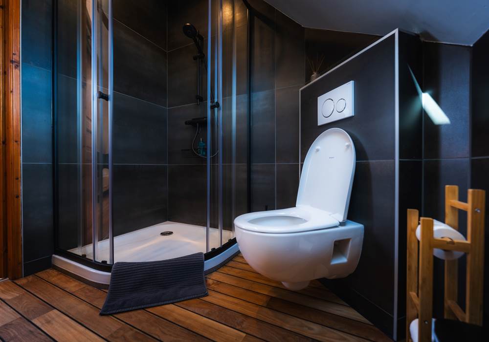 Chambres les danseurs: la salle de bain et toilettes