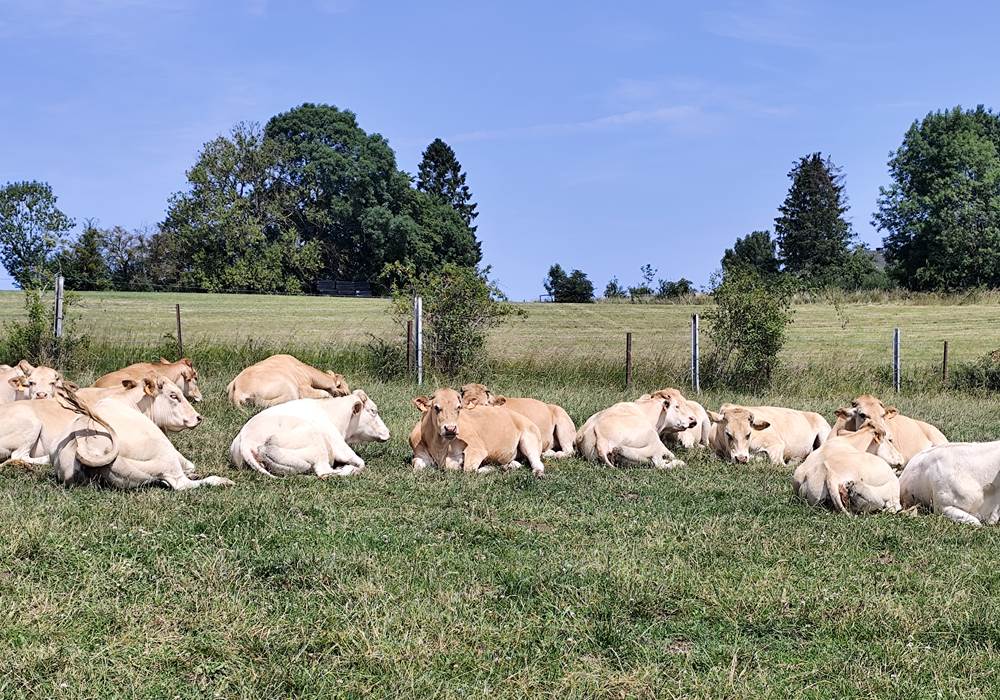 La Grange de Bonneville -  agriculture locale