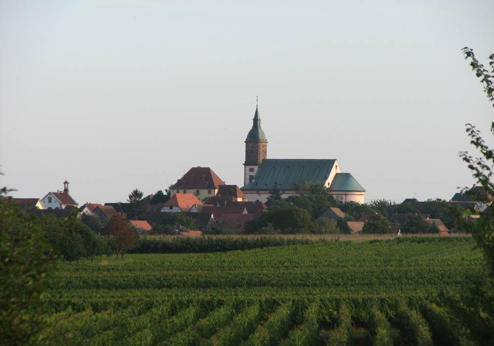 Epfig vignoble