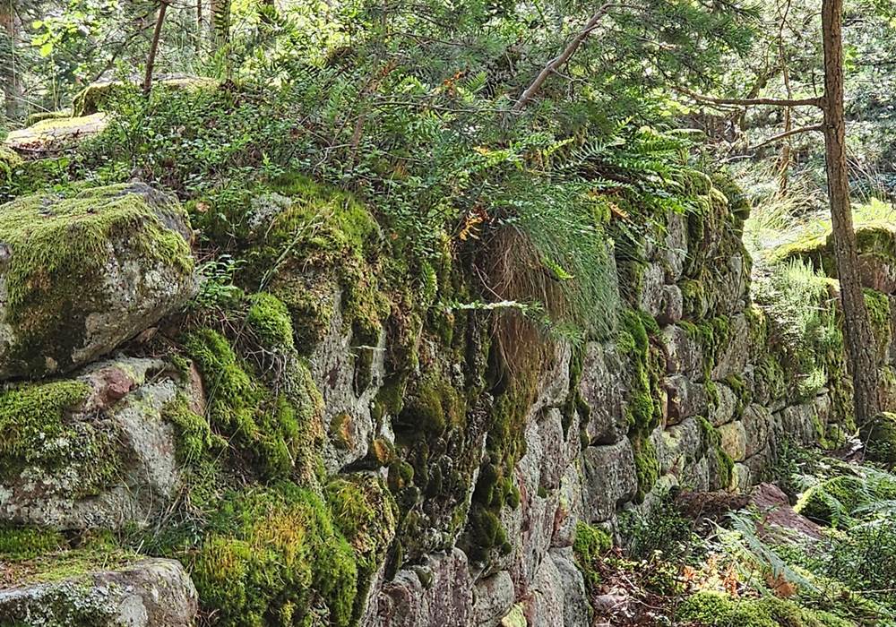 Mont Sainte Odile mur paien