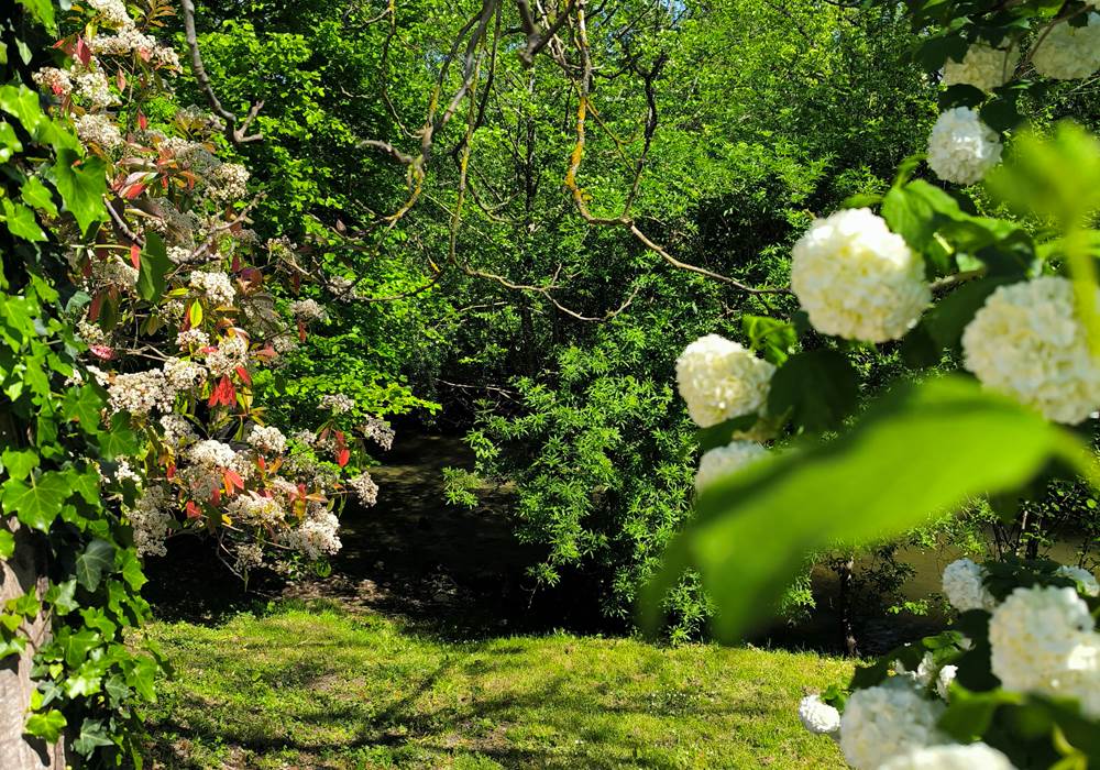 au-bouchon-17-jardin-rivière