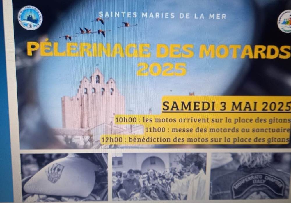 Sans titre