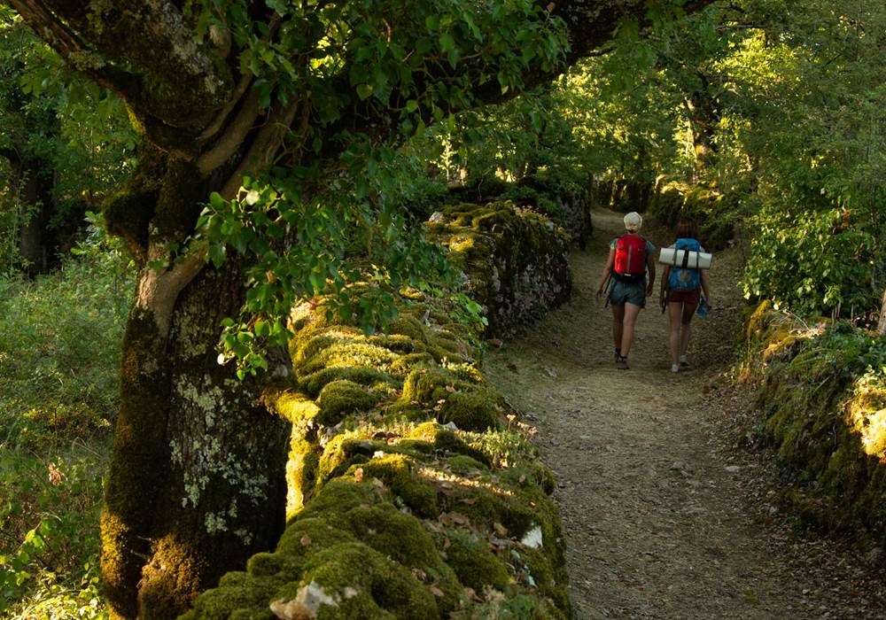 Randonnée sur les sentiers du PNR des Causses du Quercy