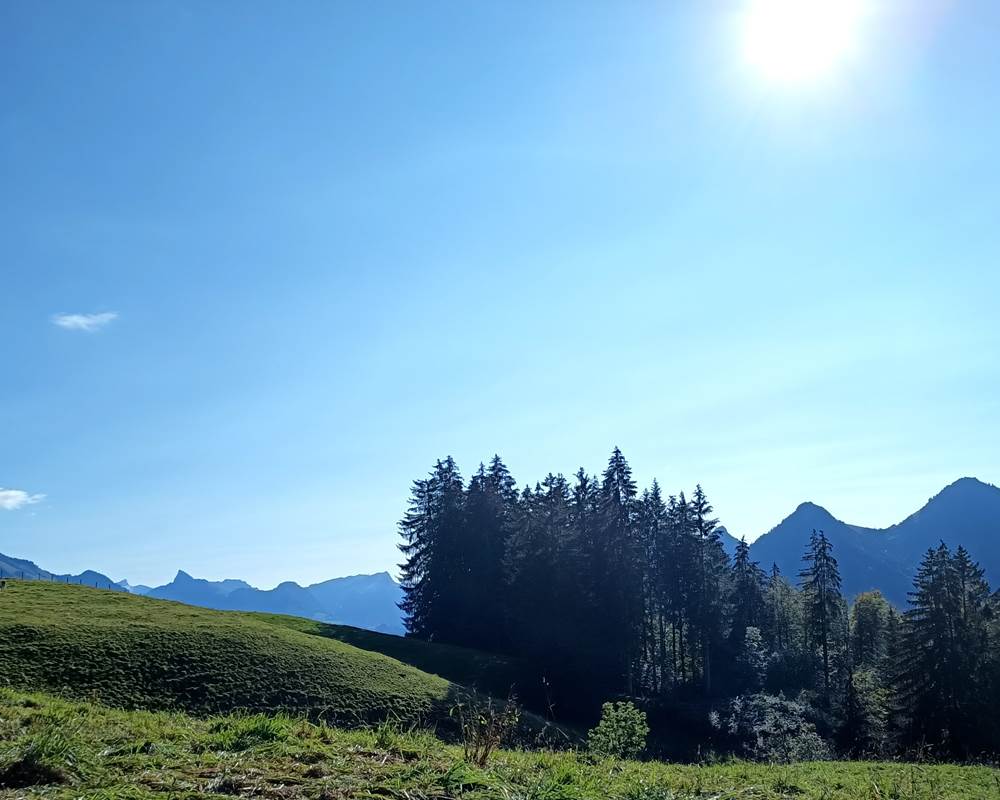 Randonnée au dessus du studio, vue sur le Moléson