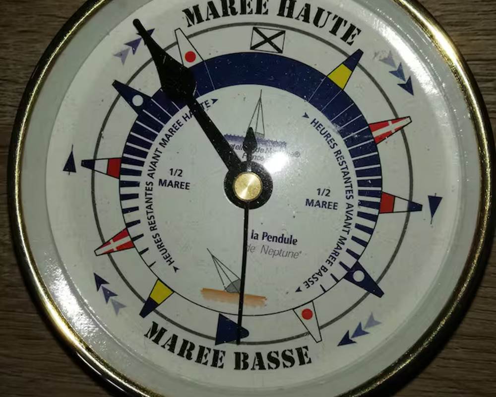 81ac06a9-0b7d-4f01-86cb-67f35312ceb3