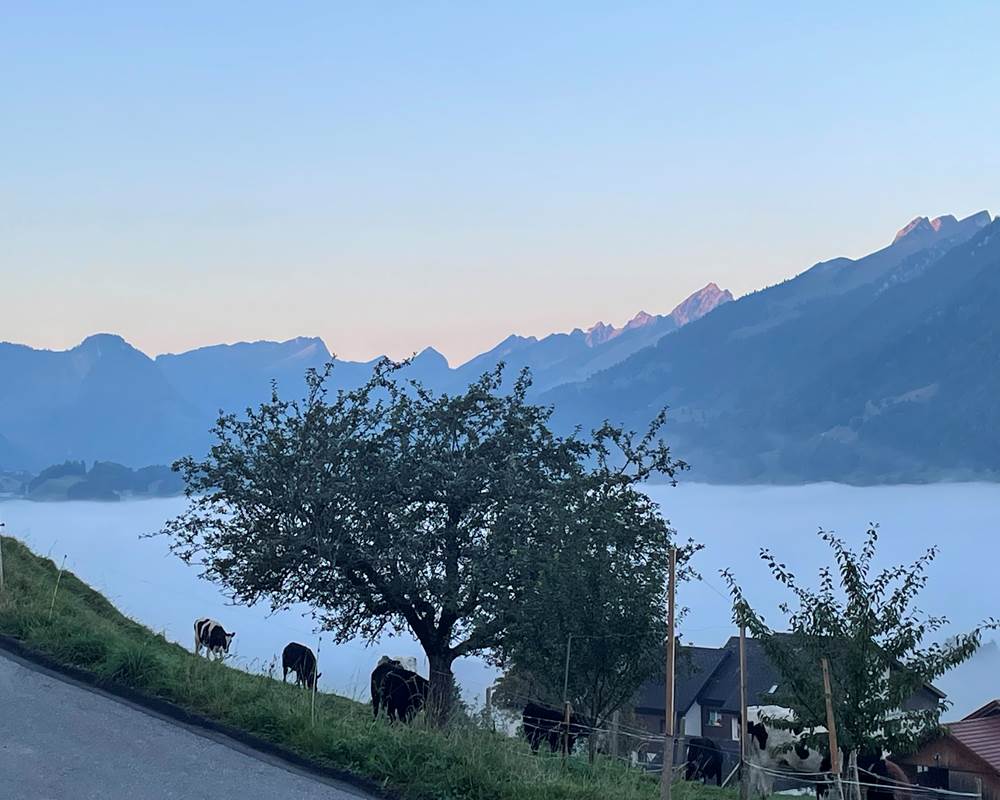 vue-panoramique-gruyere-montagnes-vanils-intyamon-studio-vacances-couple-suisse