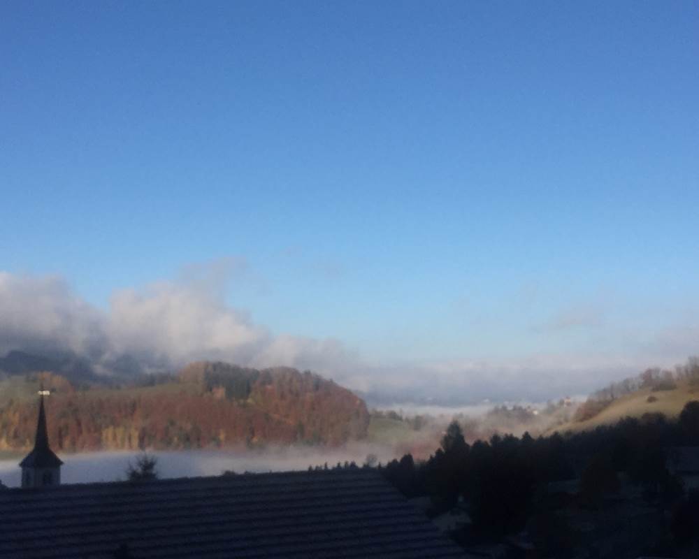 vue-panoramique-printemps-gruyeres-alpes-fleurs-nature-suisse