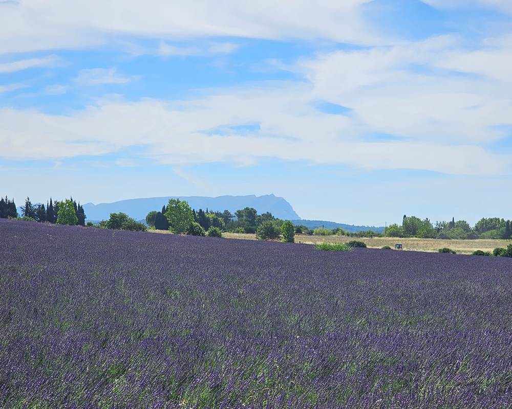 La Sainte Victoire près de la Maison