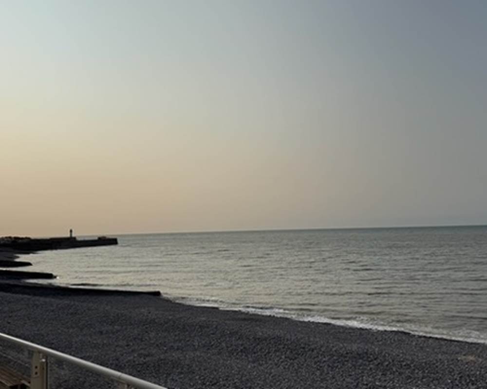 03FF1936-F2F1-4441-A84D-96FC5876D837_1_201_a