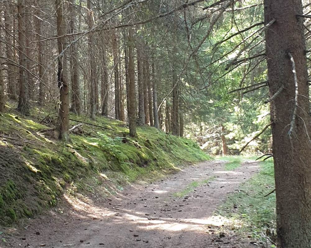 CHEMIN DE RANDONNEE 1