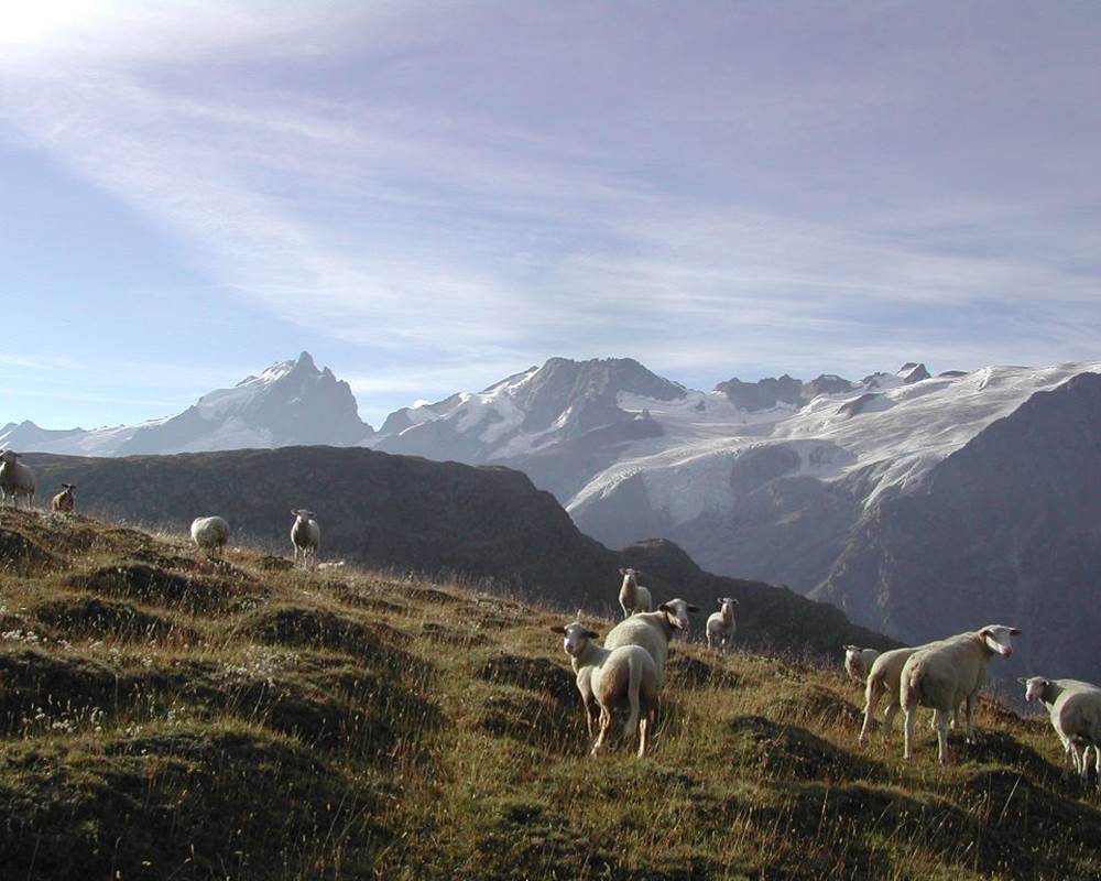 Vers le Plateau d'Emparis 2450 m.