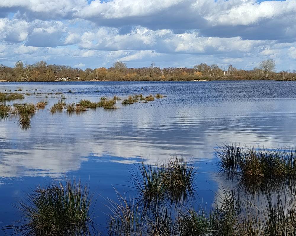 Etang de Brenne