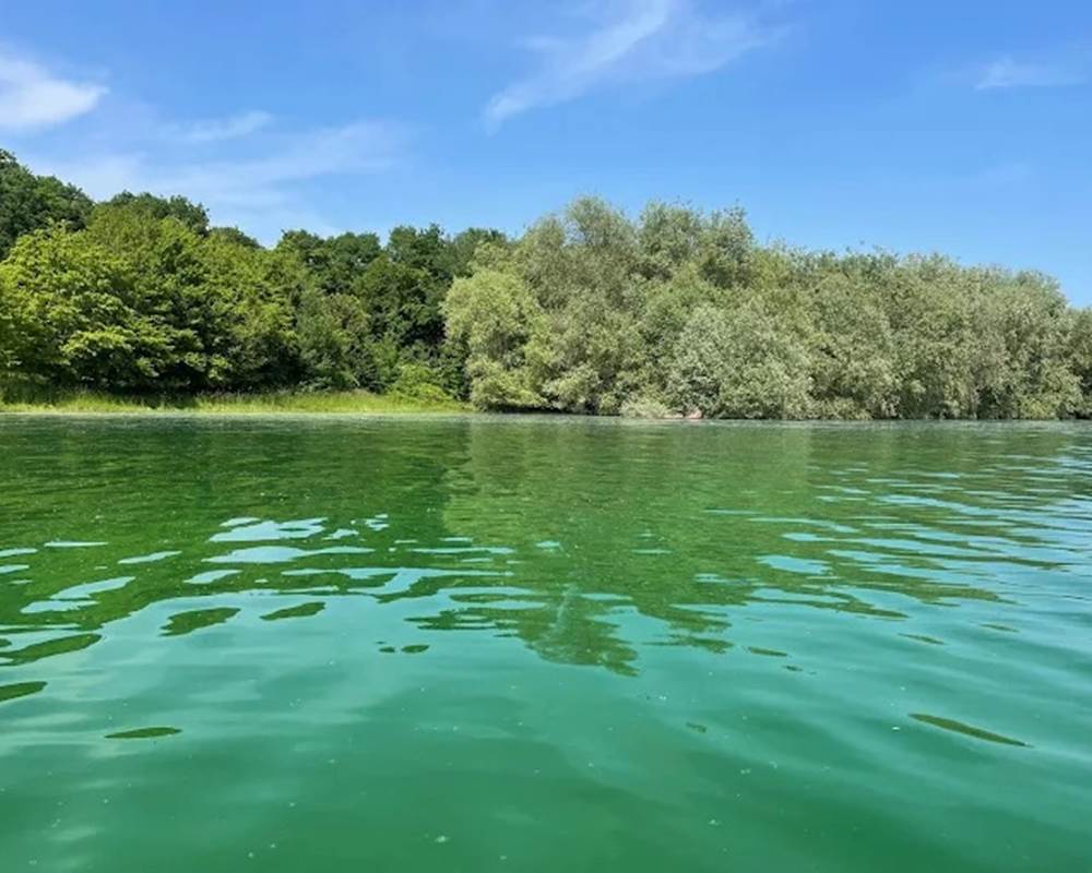 vue sur le lac du der