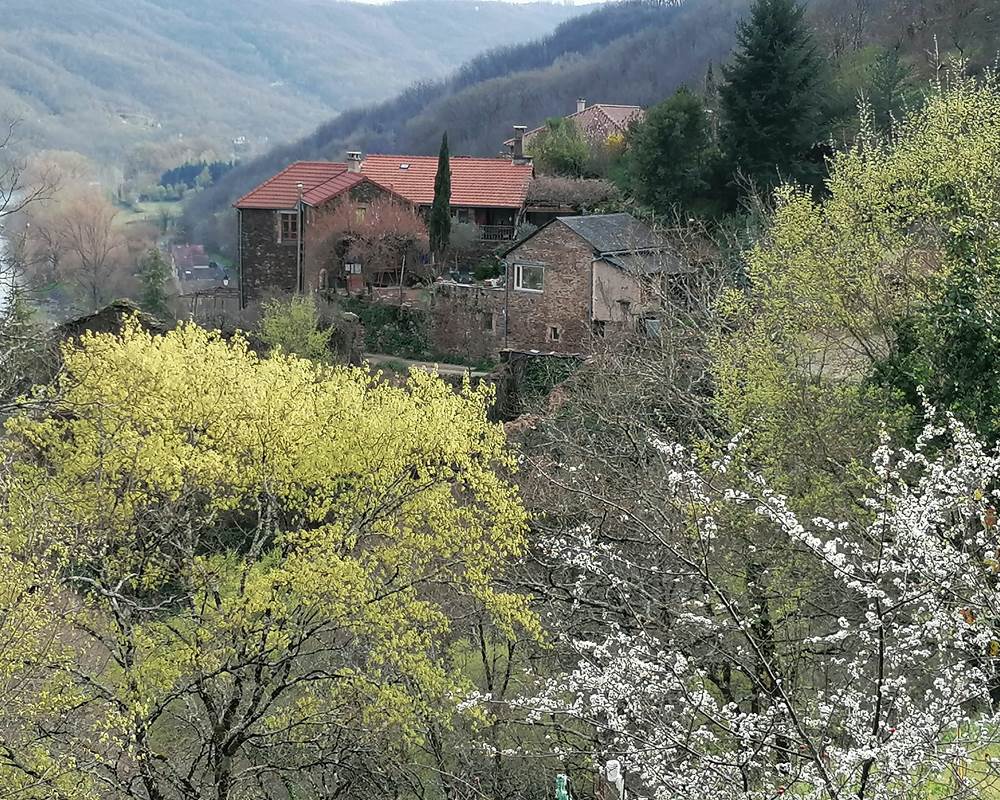 lajourdanie-printemps