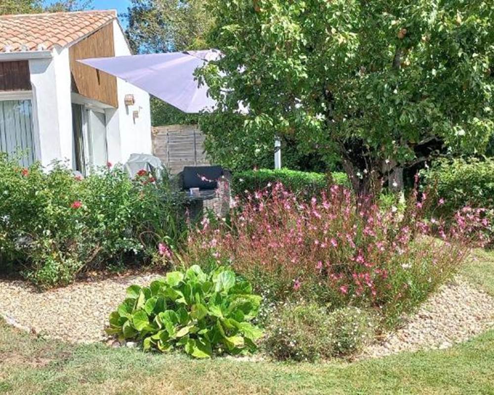 Jardin entretenu 