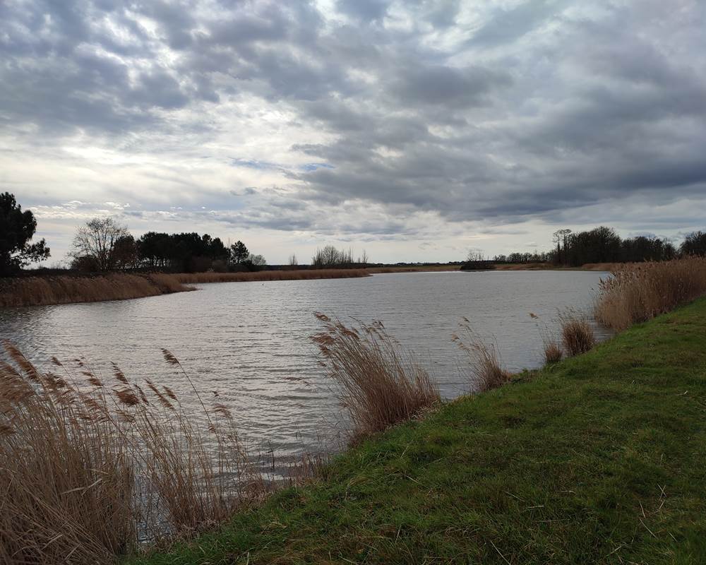 Etang de Brenne