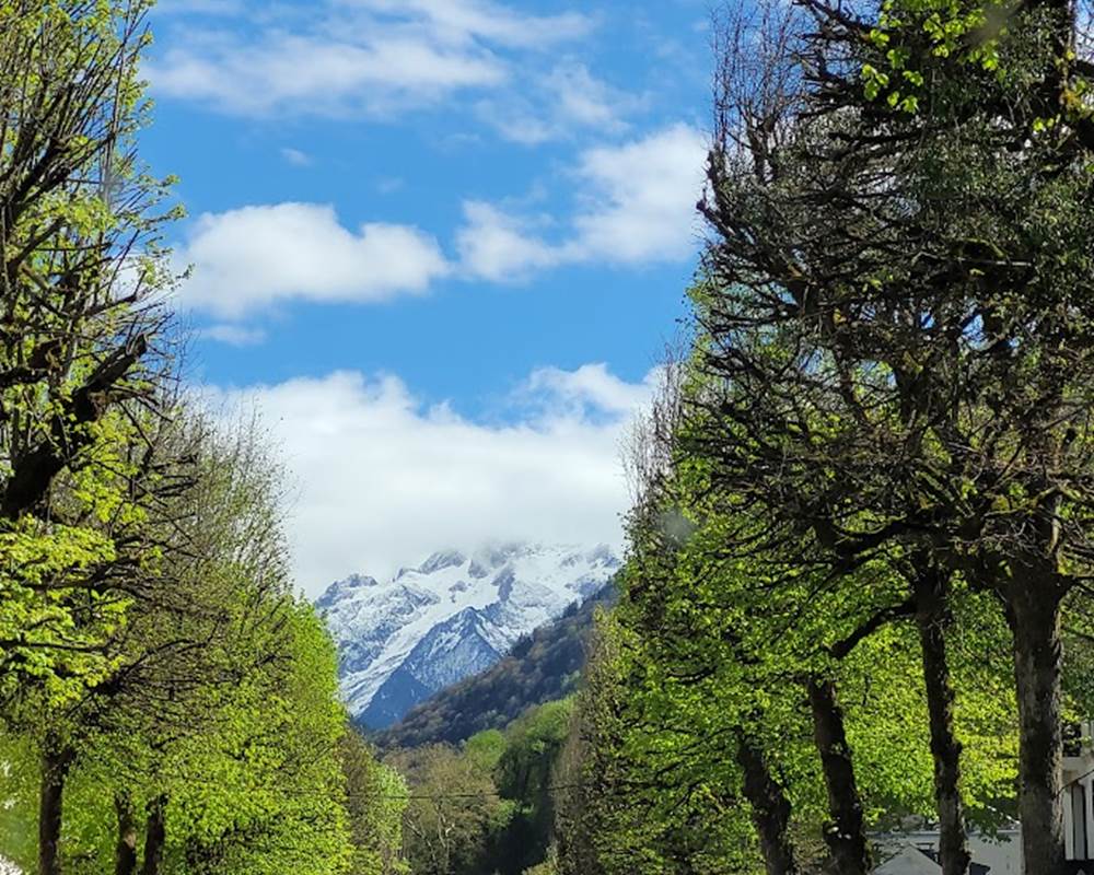 Allée principale Luchon