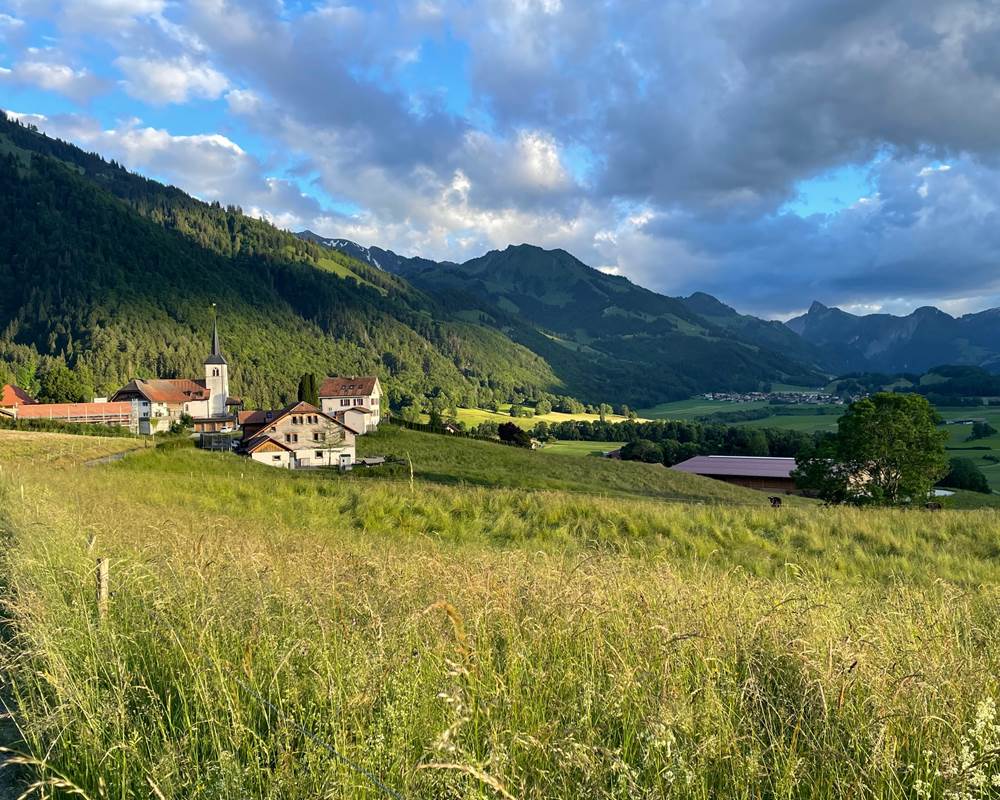 Champs autour de l'église d'Estavannens en juin