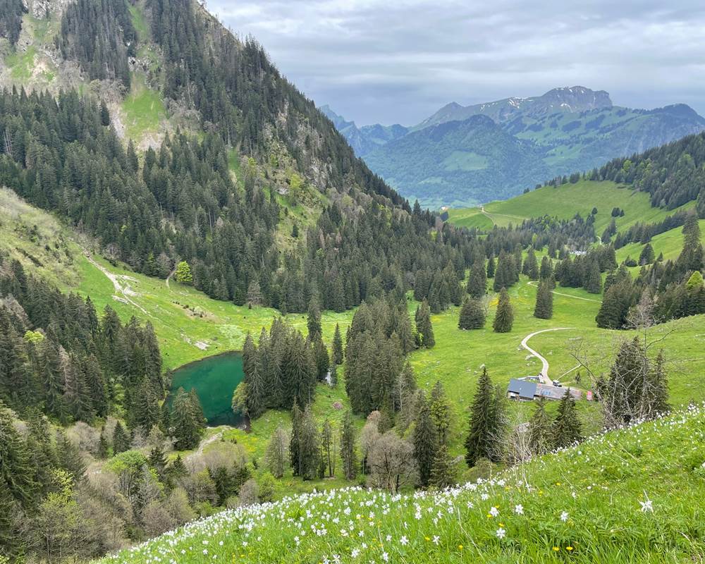 randonnée-vacances-sportives-gruyere-suisse-moleson-lac-de-montagne-couple