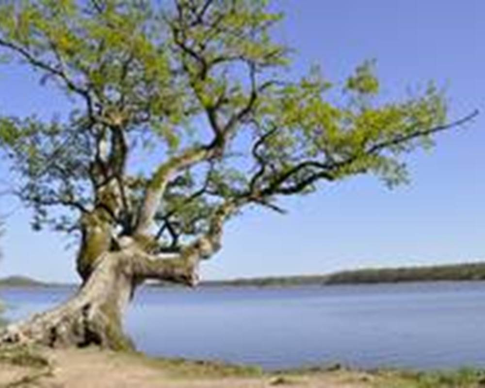Etang de la Mer Rouge