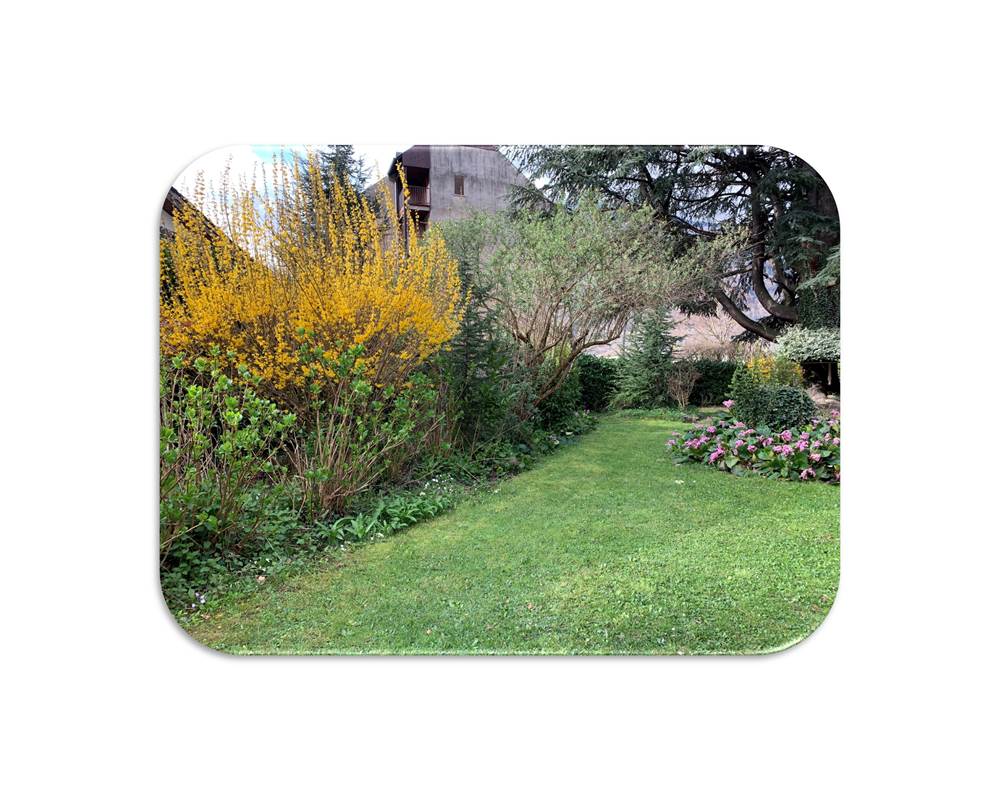 Jardin fond blanc