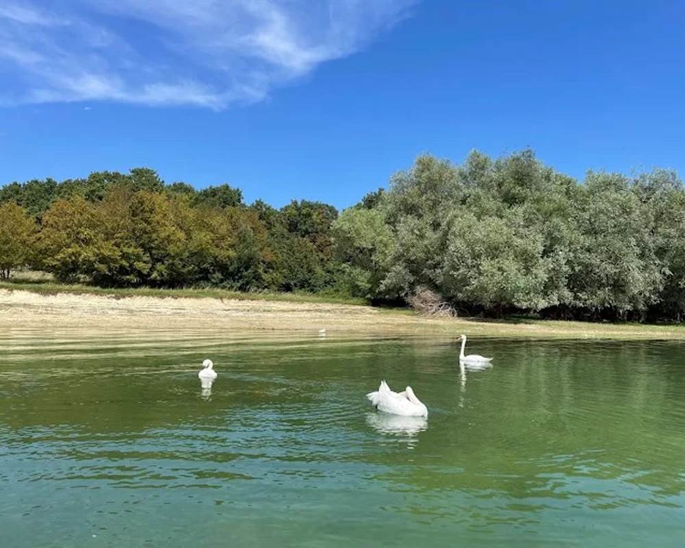 ile paisin au milieu du plan d'eau ,rencontre avec les signes