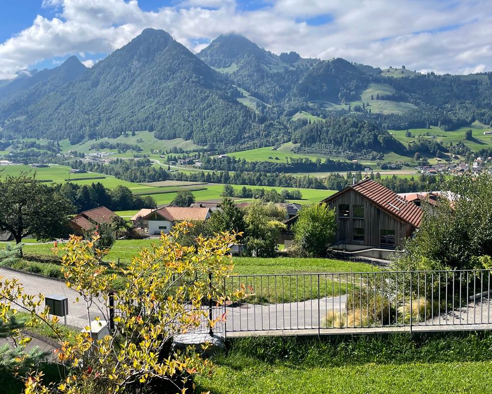 jardin-automne-studio-gruyeres-canton-de-fribourg-vue-montagne-nature