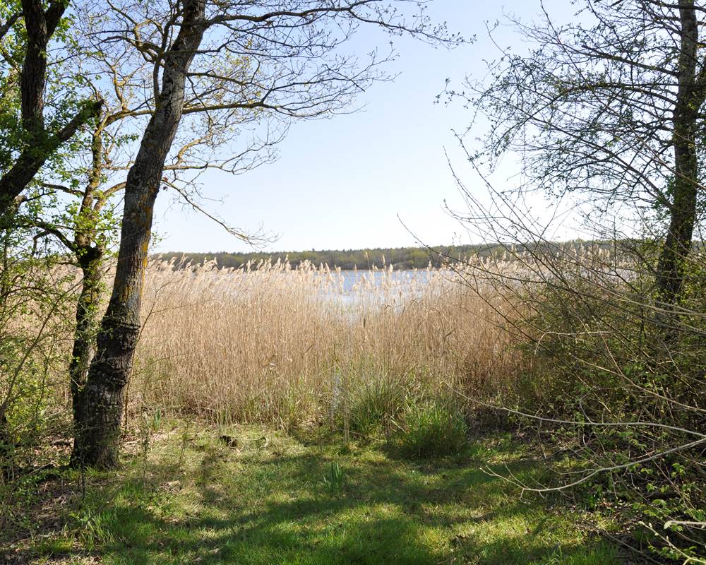 Paysage de Brenne