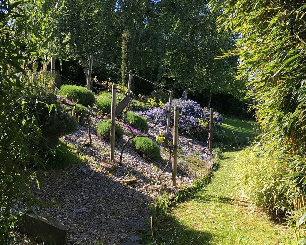 jardin printemps