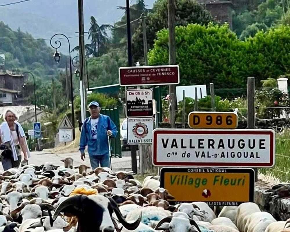 Pasteuralisme