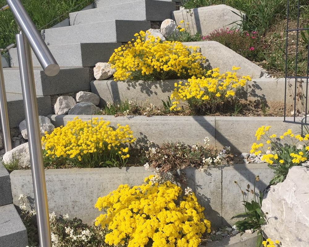 printemps-weekend-romantique-couple-gruyere-detente-calme-paysages-suisse