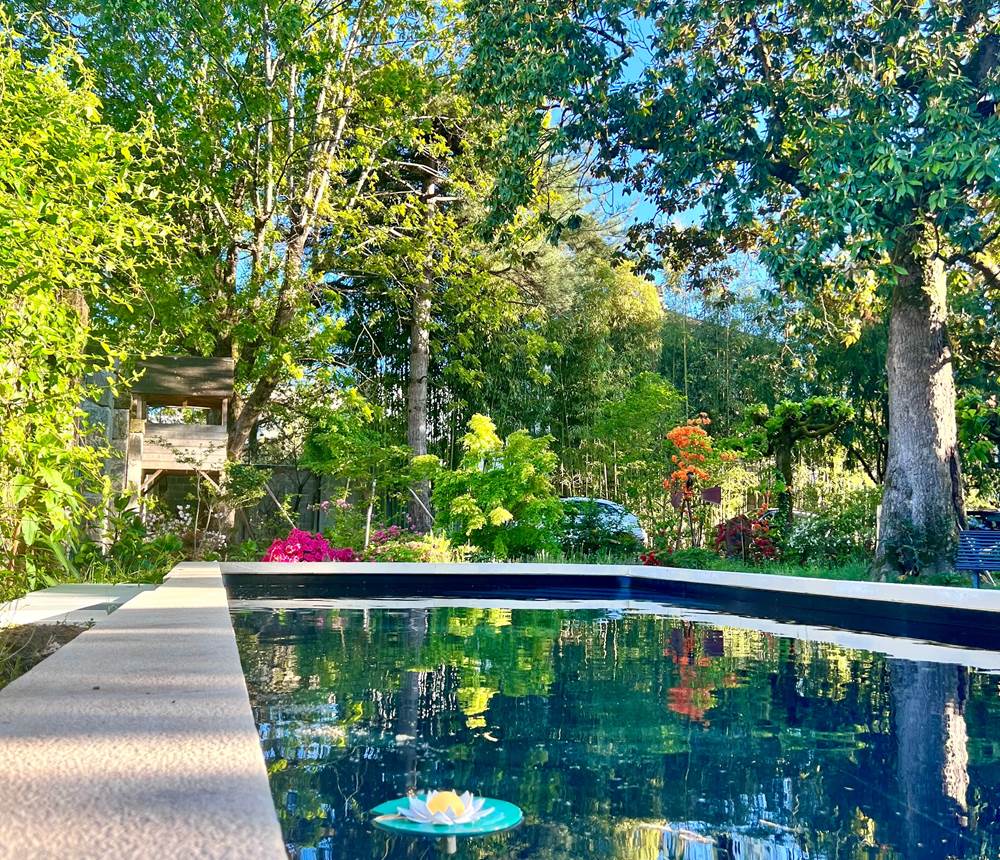 location-brive-appart-chambre-demeure-de-flore-piscine