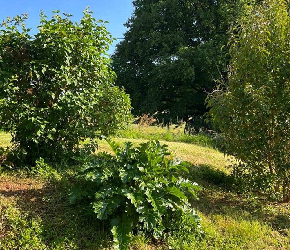 Chambre INTEMPORELLE Vue