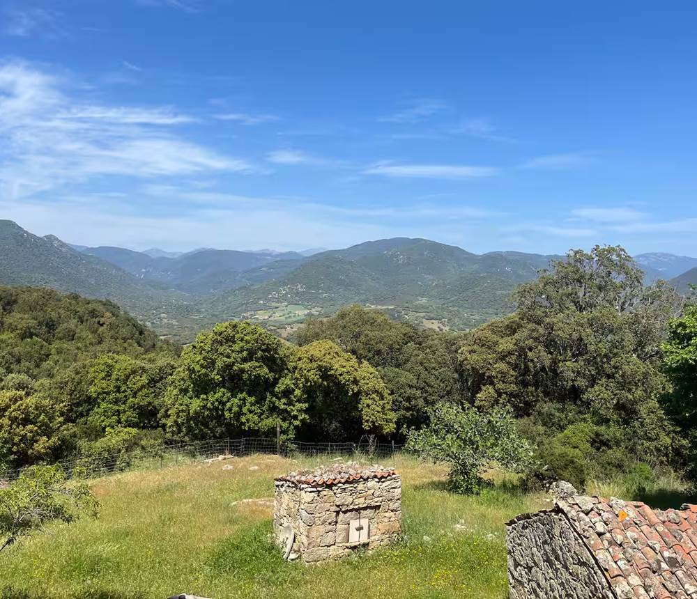 Paysage de collines verdoyantes sous un ciel bleu.