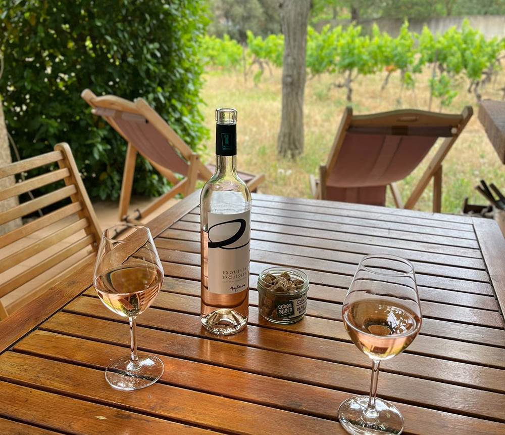 Maylandie gîte Syrah terrasse 1