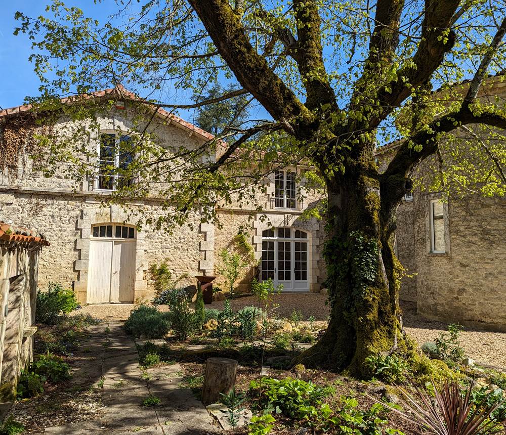 La petite Salamandre