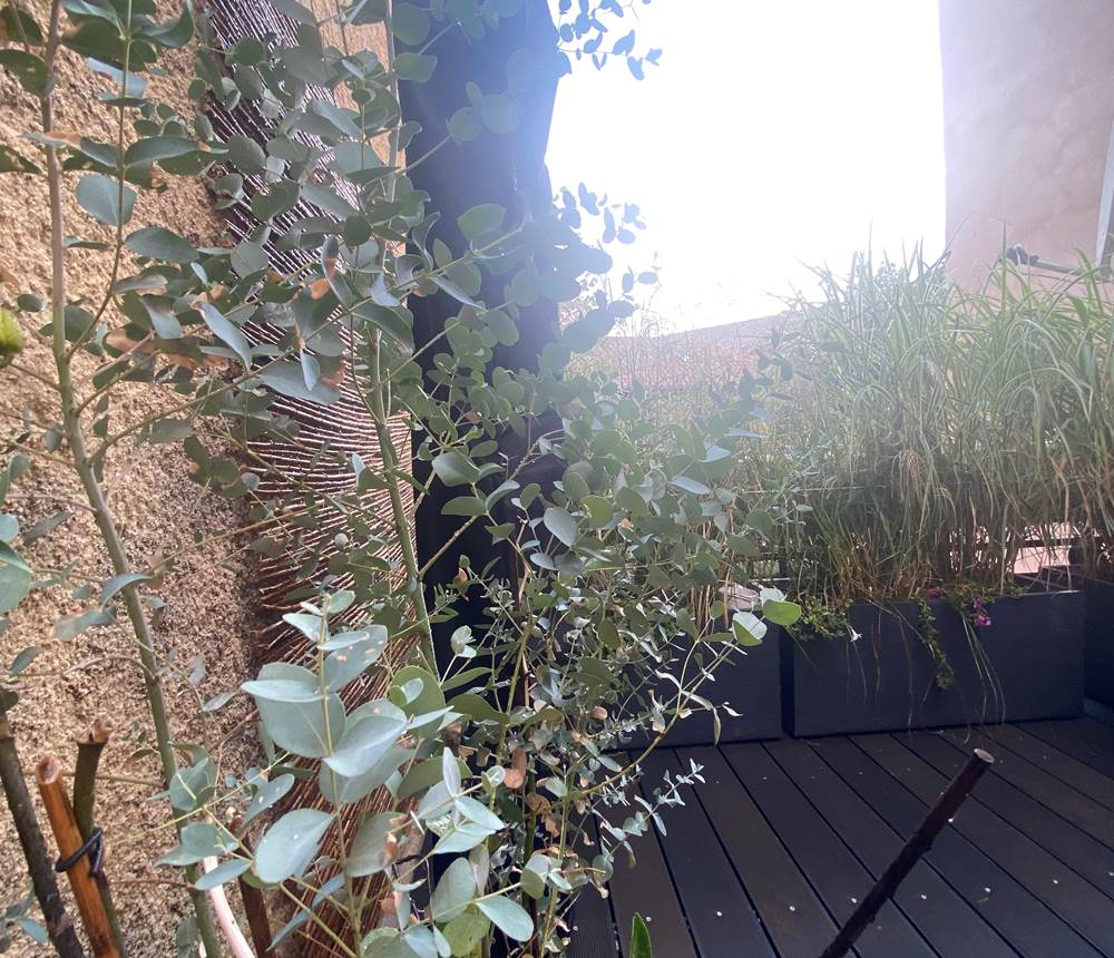 terrasse privée