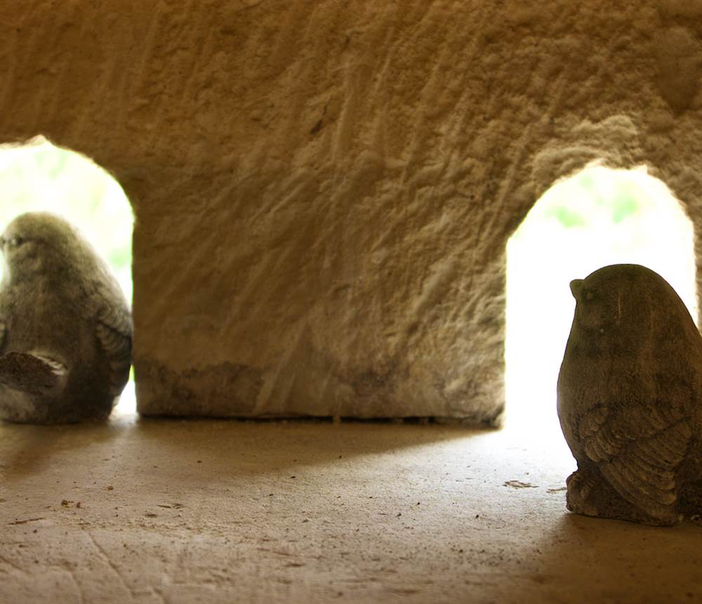 niche oiseaux Pigeonnier