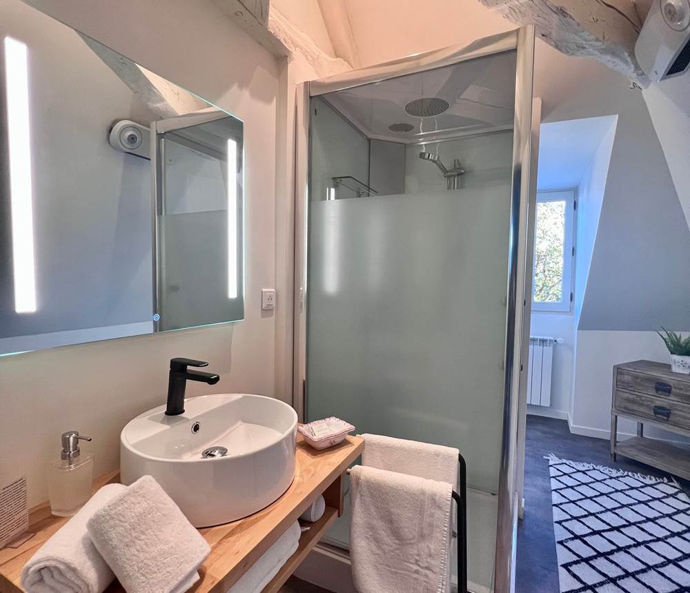 location-brive-appart-chambre-demeure-de-flore-302-9