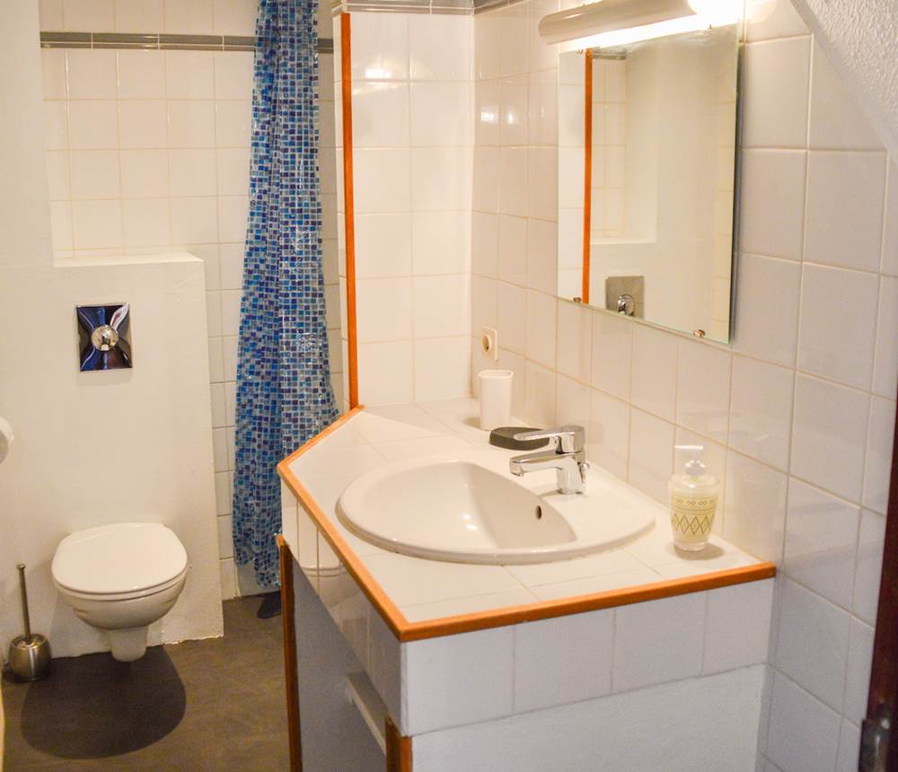 Basilic salle de bain