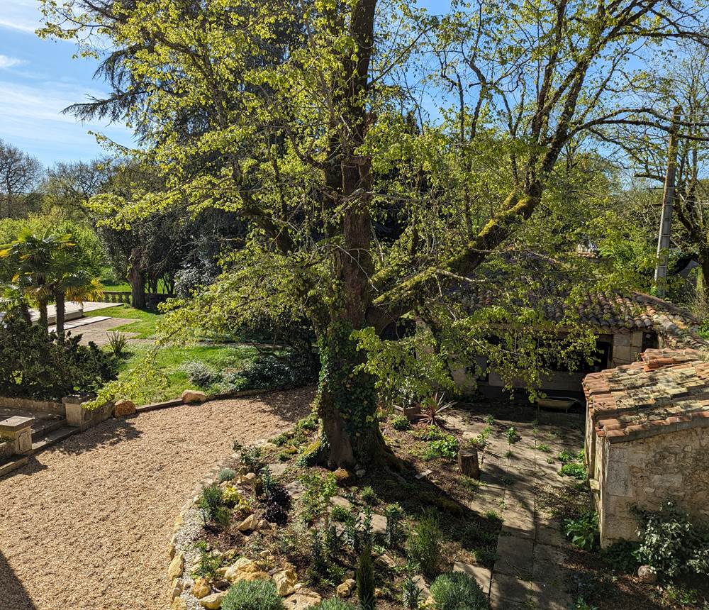 Extérieur Les Salamandres