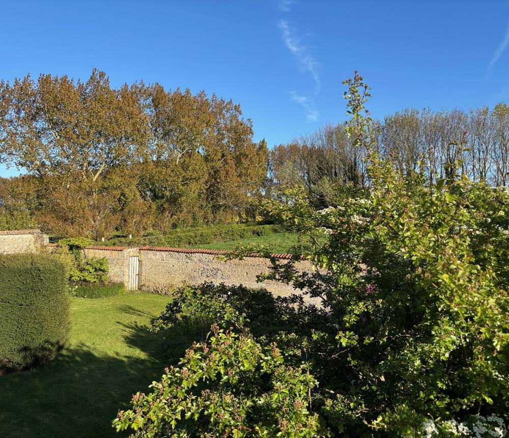 Vue de la Terrasse