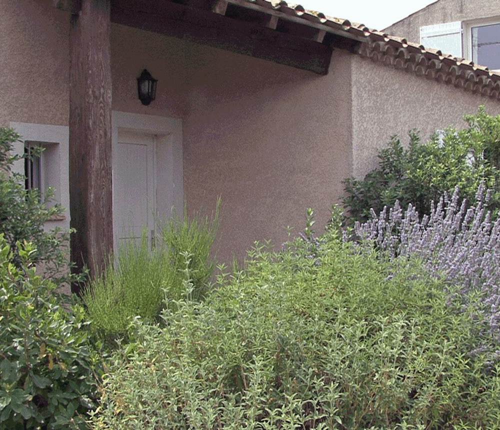 gîte syrah au premier plan et gîte grenache au second plan